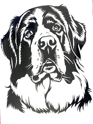 Bernard dog vinyl - 1x, st.