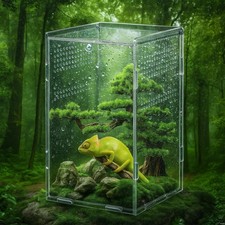 Jumping spider enclosure - jumping,