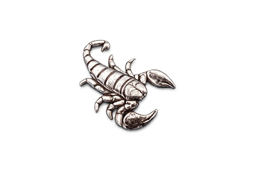 Scorpion pewter pin - scorpion,