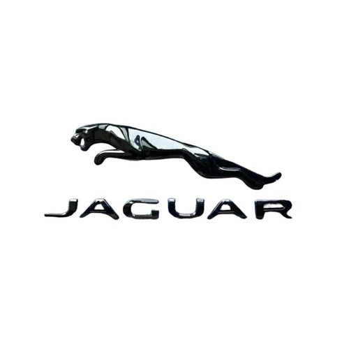 Glossy black badge - badge, trunk