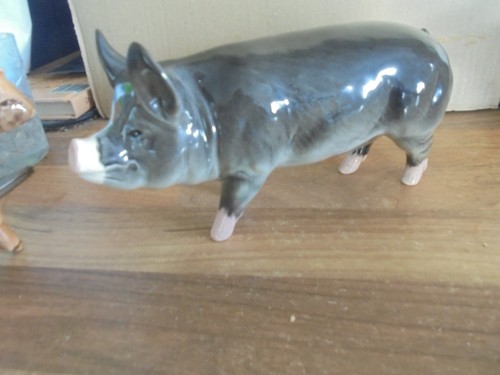 Superb beswick berkshire pig - superb,