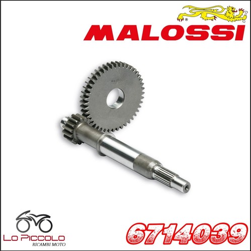 6714039 primary gears malossi - gears,