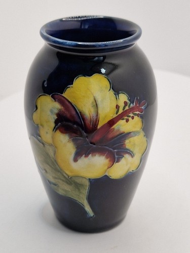 Early moorcroft hibiscus - early,