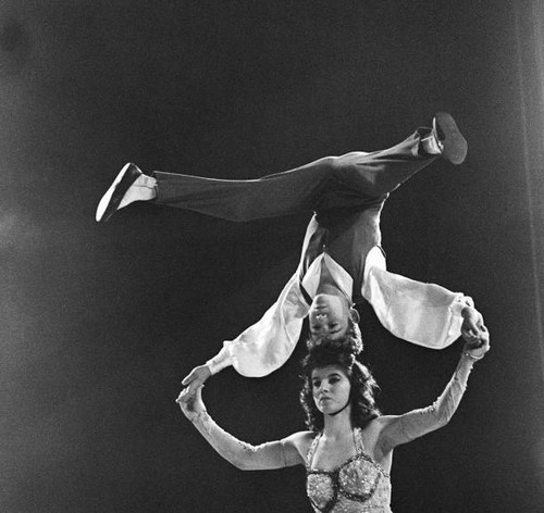 Bertram mills circus tightrope - bertram,