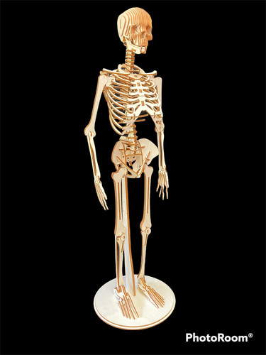 Laser cut wooden human - wooden,