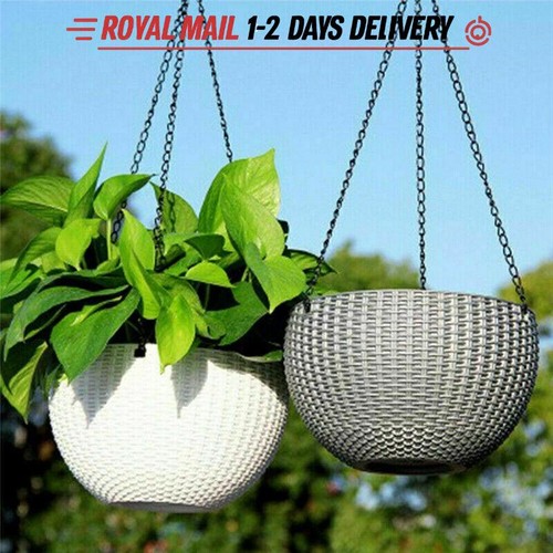 Hanging baskets flower - baskets,