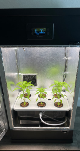 3ft led califlowerbox smart - 3ft,