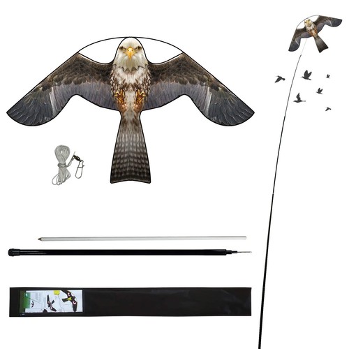 Laptony bird scarer flying - bird,