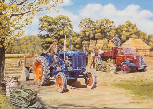 Fordson major tractor 1950s - tractor,