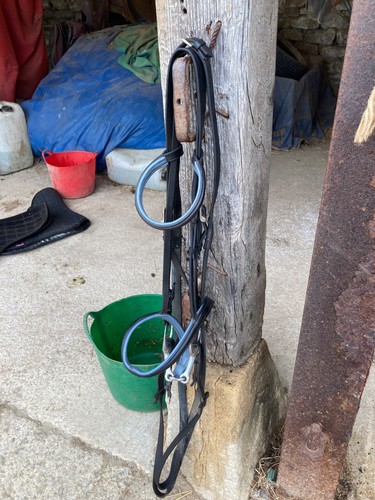 Bridle cob black - bridle,