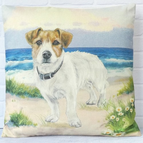Jack russell terrier dog - jack,