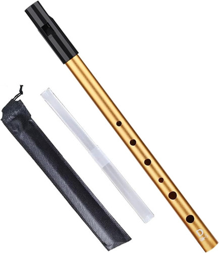 Irish tin whistle key d - whistle,