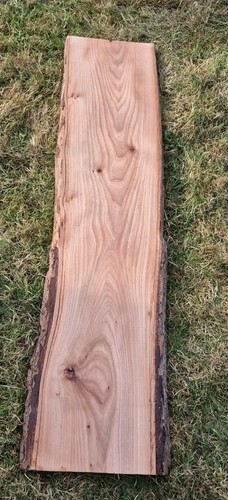 English elm character - elm, wood