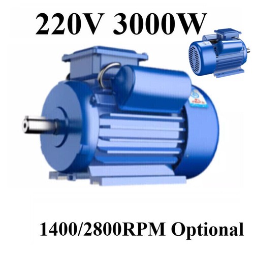 Electric single phase motor - phase,