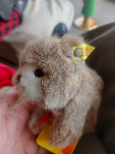 Steiff browny bear 1445 - bear, 1445/12
