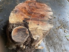 Yew Wood,yew Block,yew Timber