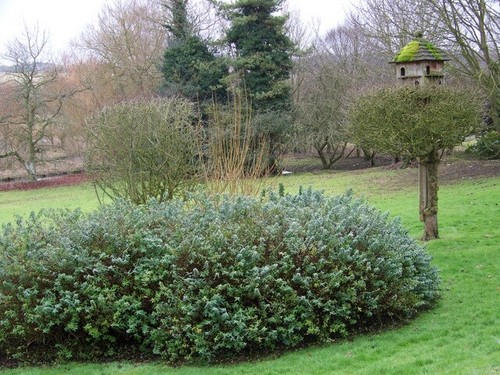 Photo 6x4 dovecote wherwell - photo, dovecote,