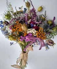 Dried Flower Wildflower