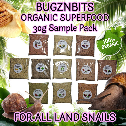 Land snail food - land,