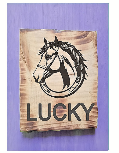 Personalised wooden stables - stables, or