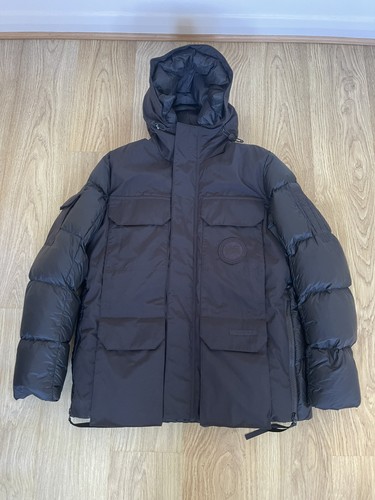 Canada goose paradigm - goose,