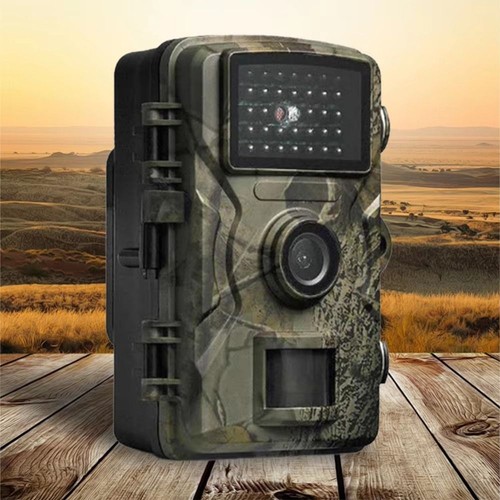 Outdoor trail camera motion - outdoor,