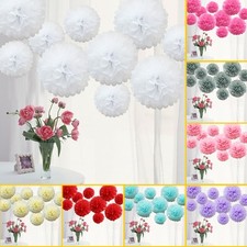Time to Sparkle 10PCS 8 10 12 inch Mixed Tissue Paper Pompoms Large Poms Balls