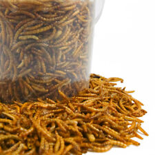 Dried Mealworms Mix - High Quality Wild Bird Food Large Variety
