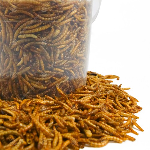 Dried mealworms mix - dried,