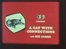 A CAT WITH CONNECTIONS 1970