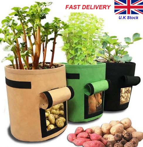 Plant grow bags - plant,
