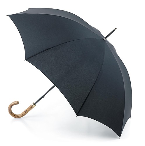 Fulton commissioner umbrella - fulton,