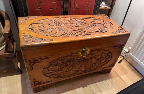 Large oriental camphor - oriental,