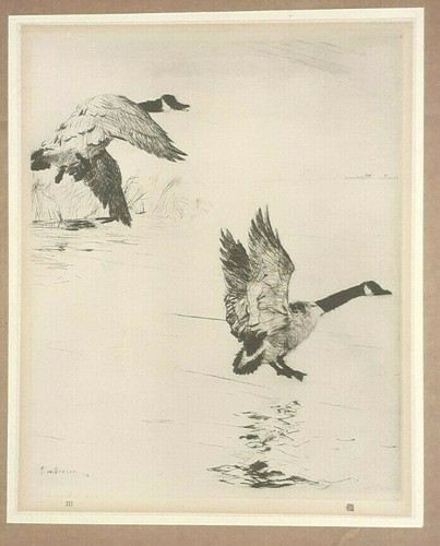 Frank benson geese print an - geese, of