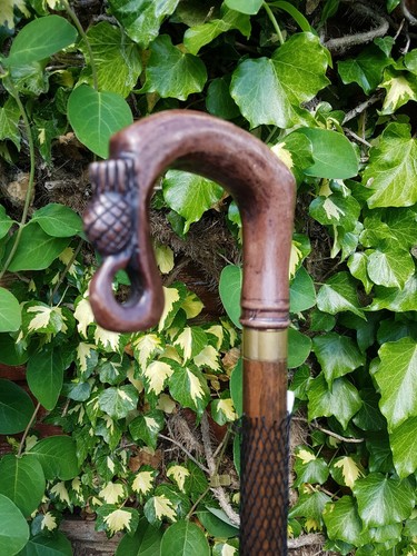 Walking stick crook thistle - walking,