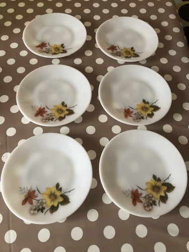 Autumn glory pyrex - autumn,