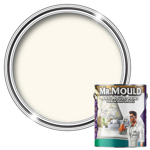 Anti mould wall paint - anti,