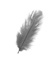 Large Long Ostrich Feathers Millinery Fascinator Hat Decoration Trimmings Craft