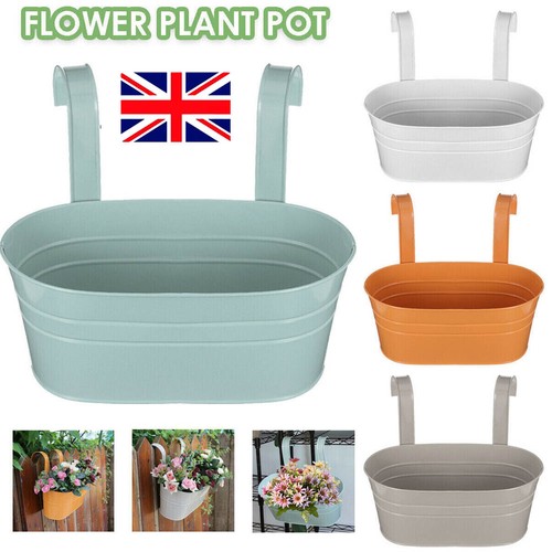 Packs oval metal plant - 4,