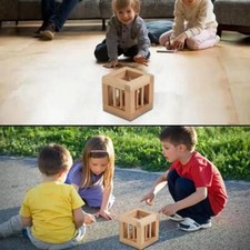 Secret Pyramid Wood Brain