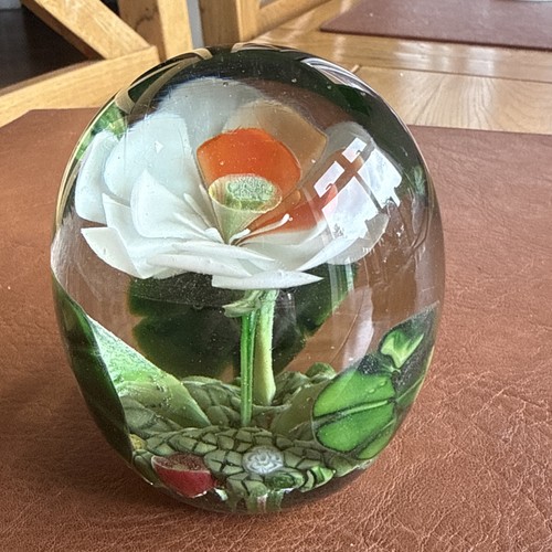 Orange white flower - white,