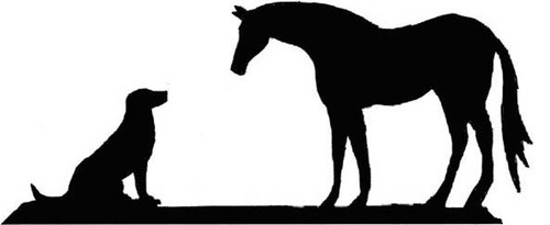 Labrador dog horse - labrador, &