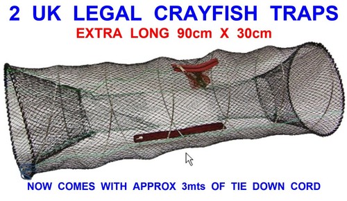 Legal long crayfish - uk, x-long