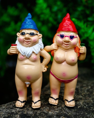 2pcs garden gnomes rude and - garden,