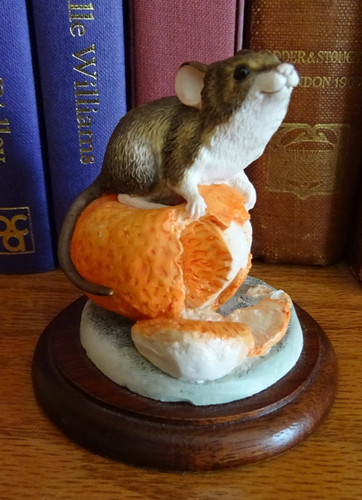 Mouse satsuma border fine - mouse, on