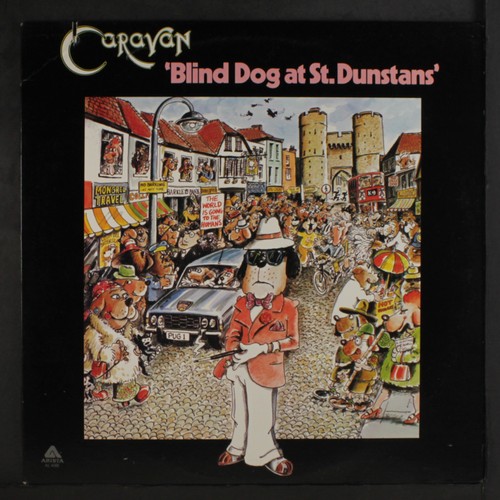 Caravan blind dog st - caravan:,
