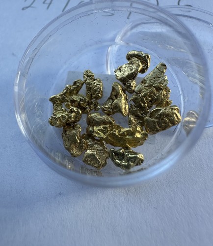 Grams alaskan gold - grams,