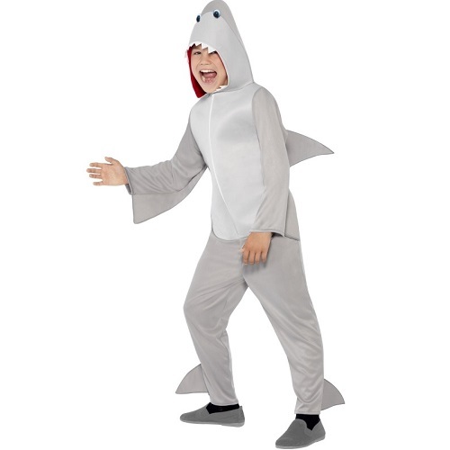 Childrens fancy dress - childrens,