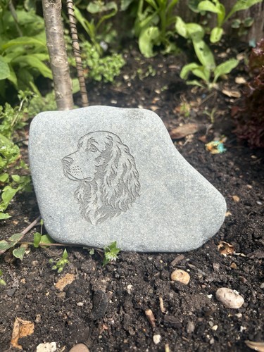 Personalised engraved cocker - engraved,