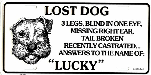 Lost dog metal license plate - lost,